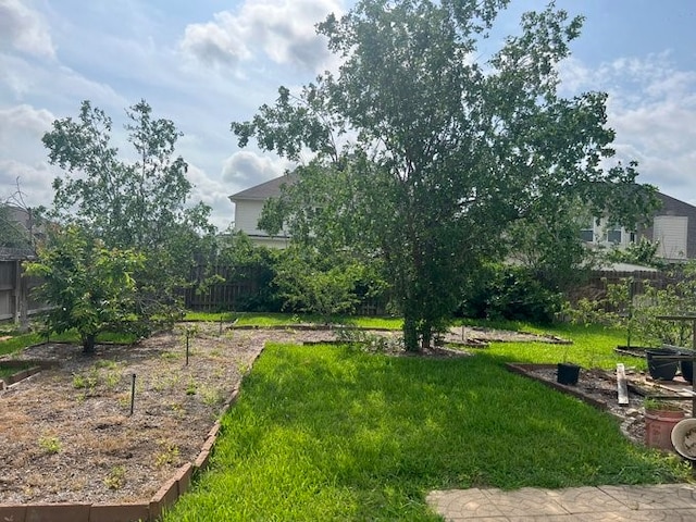 6603 Golden View Ct, Houston, TX 77083 - view of yard