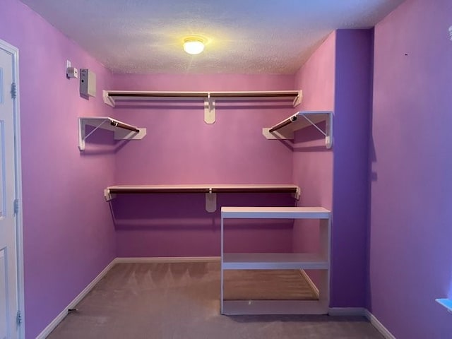 6603 Golden View Ct, Houston, TX 77083 - spacious closet featuring carpet floors