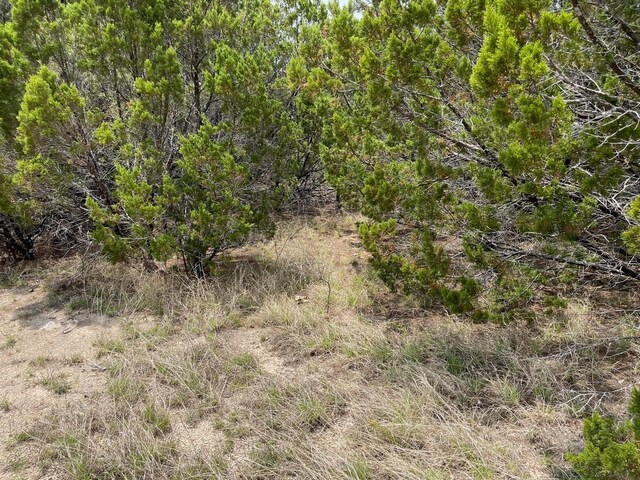 0 Dillon Dr, Copperas Cove, TX 76522 - photo 9