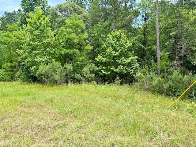 0 Dedication Trl, Huntsville, TX 77340