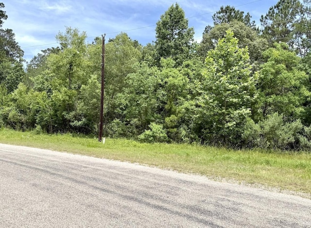 0 Dedication Trl, Huntsville, TX 77340