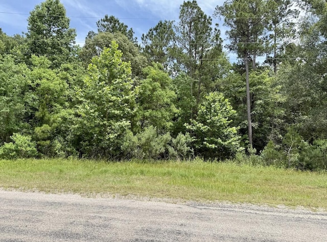 0 Dedication Trl, Huntsville, TX 77340