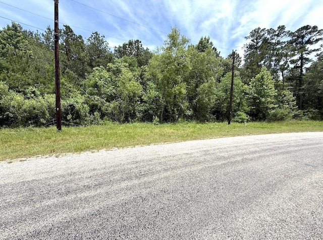 0 Dedication Trl, Huntsville, TX 77340