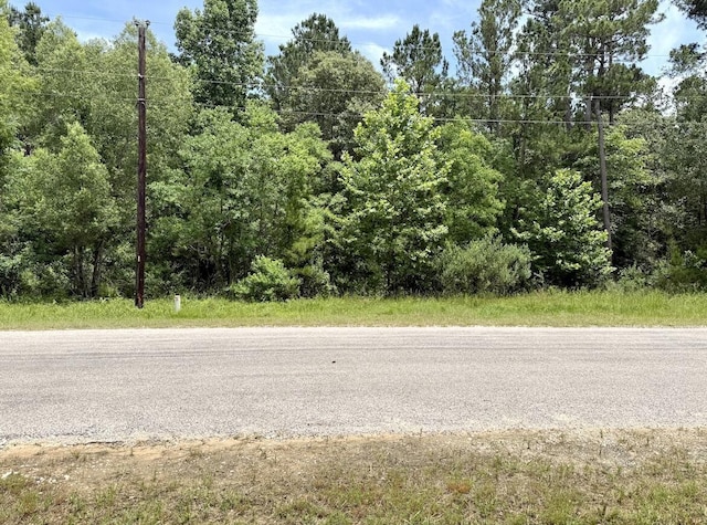 0 Dedication Trl, Huntsville, TX 77340