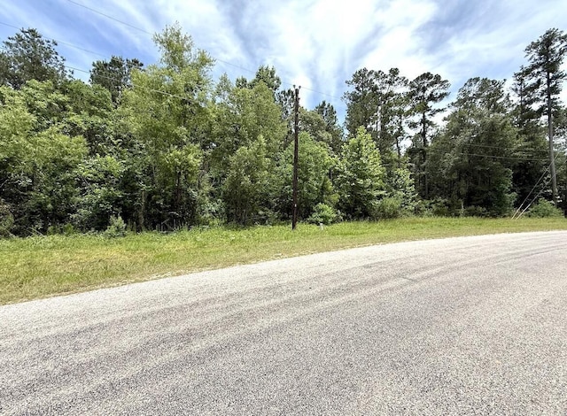 0 Dedication Trl, Huntsville, TX 77340