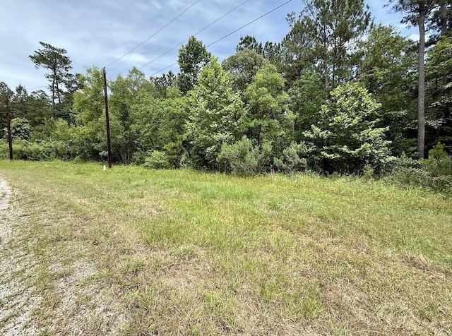0 Dedication Trl, Huntsville, TX 77340