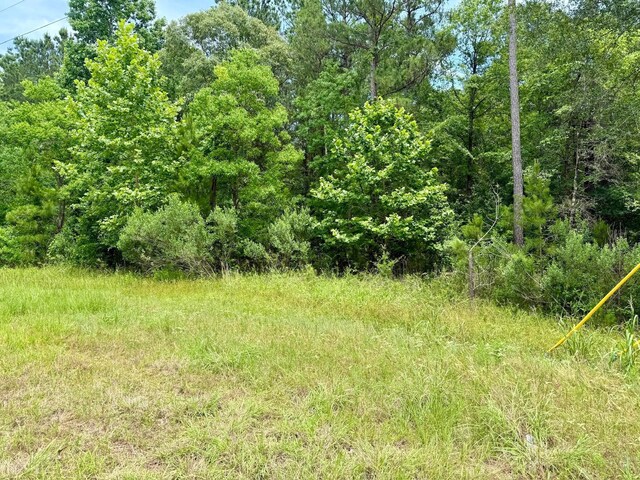 0 Dedication Trl, Huntsville, TX 77340