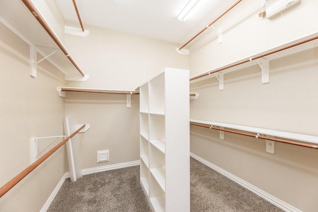 12515 Country Arbor Ln, Houston, TX 77041 - walk in closet with carpet flooring