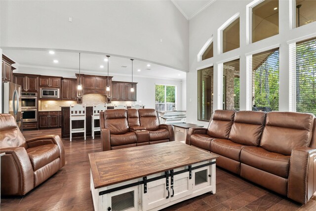 315 Lagarto Way, Pinehurst, TX 77362 - living room featuring ornamental molding, dark wood-style flooring, and a high ceiling