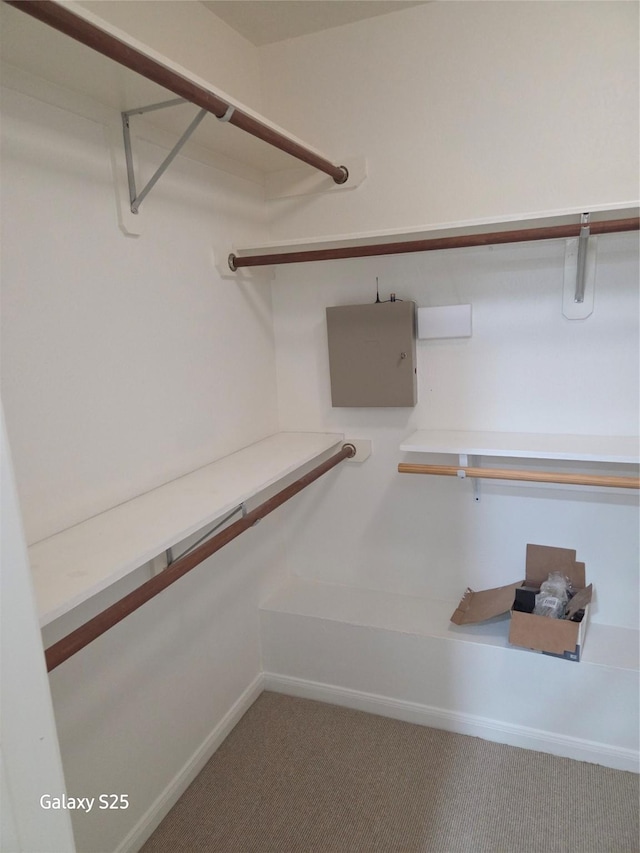 16111 Aberdeen Forest Dr, Houston, TX 77095 - walk in closet with carpet flooring