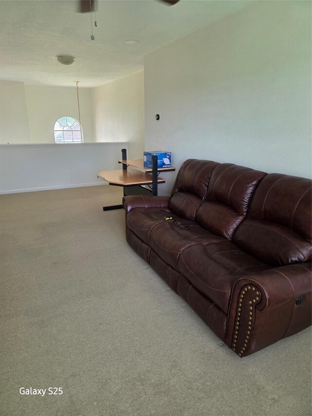 16111 Aberdeen Forest Dr, Houston, TX 77095 - living room with carpet floors and baseboards