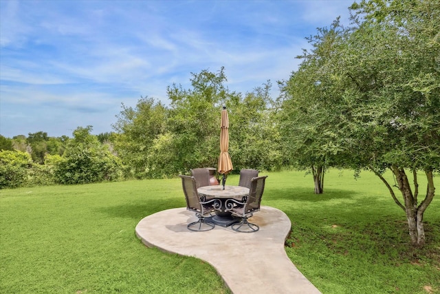 1932 Chappell Ridge Ln, Chappell Hill, TX 77426 - view of grassy yard featuring a patio area