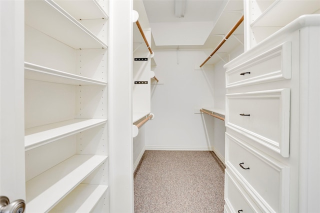 1210 Crocker St, Houston, TX 77019 - view of walk in closet
