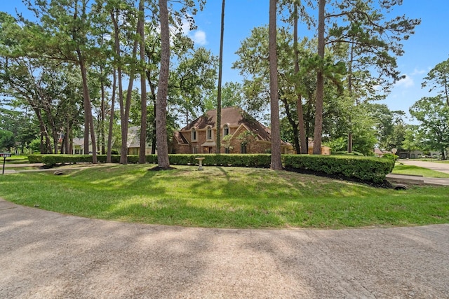 6623 Coral Ridge Rd, Houston, TX 77069 - view of front of home with a front yard and brick siding
