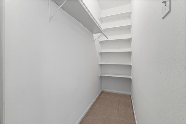6623 Coral Ridge Rd, Houston, TX 77069 - walk in closet with carpet flooring