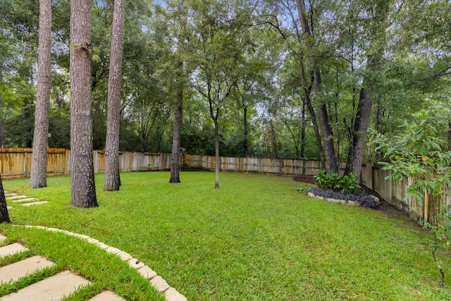 38 Florian Ct, Conroe, TX 77385 - view of yard