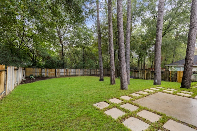 38 Florian Ct, Conroe, TX 77385 - view of yard with a patio area and view of wooded area