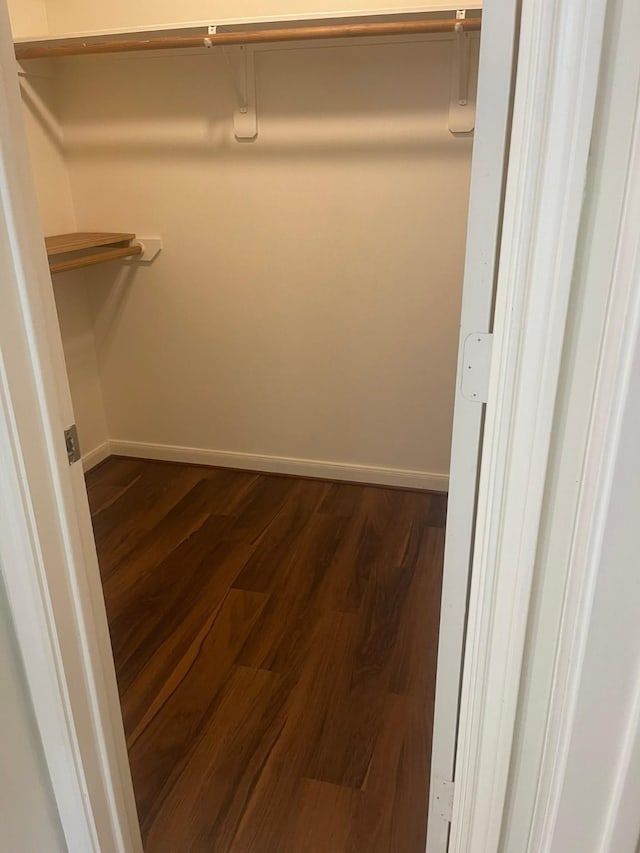 38 Florian Ct, Conroe, TX 77385 - walk in closet featuring dark wood finished floors