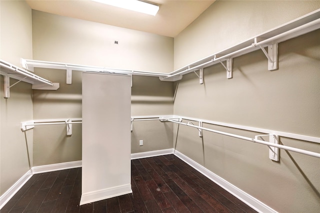 17215 Astrachan Rd, Richmond, TX 77407 - spacious closet featuring hardwood / wood-style flooring