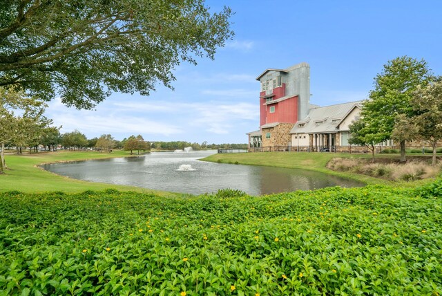 29639 Mahogany View Ln, Fulshear, TX 77441 - water view