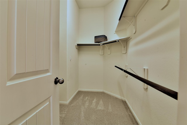 24302 Marisa Ln, Richmond, TX 77406 - spacious closet featuring light carpet