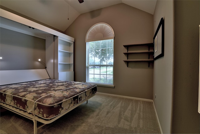 24302 Marisa Ln, Richmond, TX 77406 - carpeted bedroom with lofted ceiling and baseboards