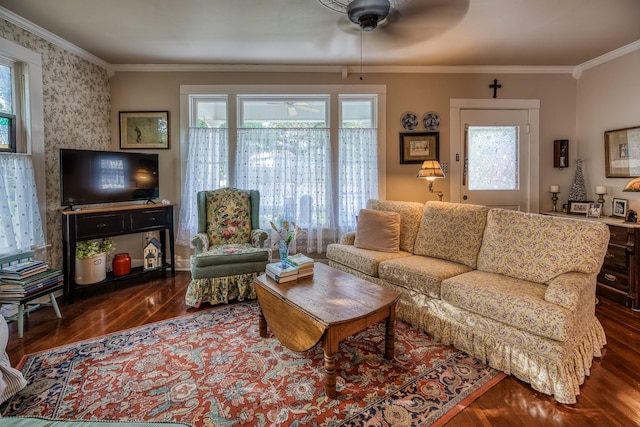 314 W Vulcan St, Brenham, TX 77833 - living area featuring ceiling fan, wood finished floors, and ornamental molding