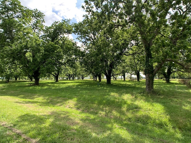 0000 Orchard Dr, Wharton, TX 77488