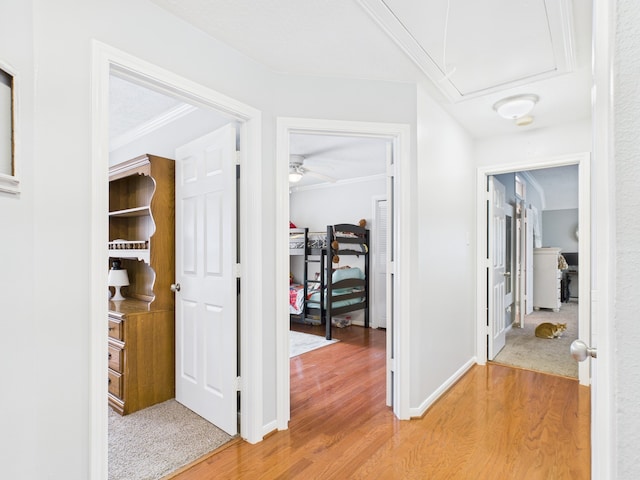 3707 Scenic Valley Dr, Kingwood, TX 77345 - corridor with light wood-style flooring, attic access, and baseboards