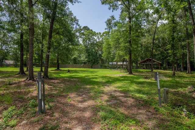 TBD Royal Cir, Cleveland, TX 77328 - photo 4