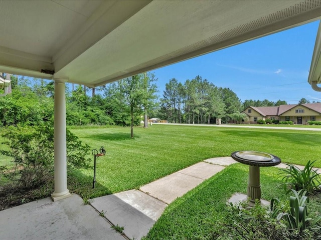 238 Royal Pnes, Lufkin, TX 75904 - view of green lawn