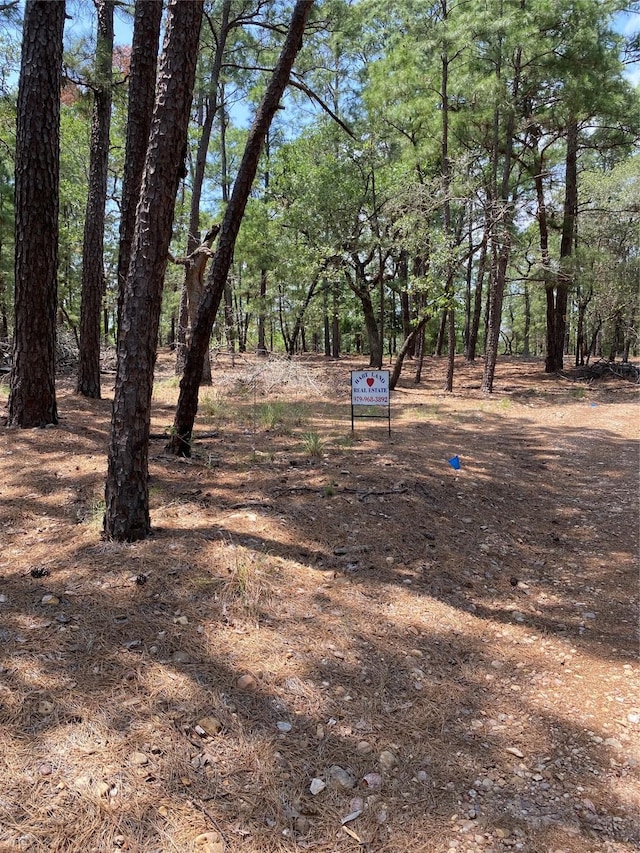 000 Clear Lake Dr, La Grange, TX 78945 - photo 1