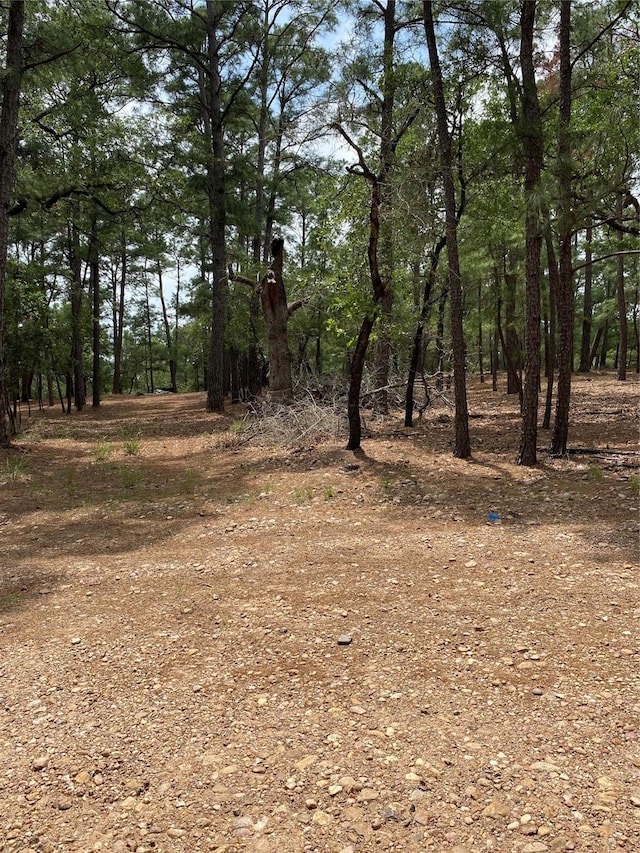 000 Clear Lake Dr, La Grange, TX 78945 - photo 8