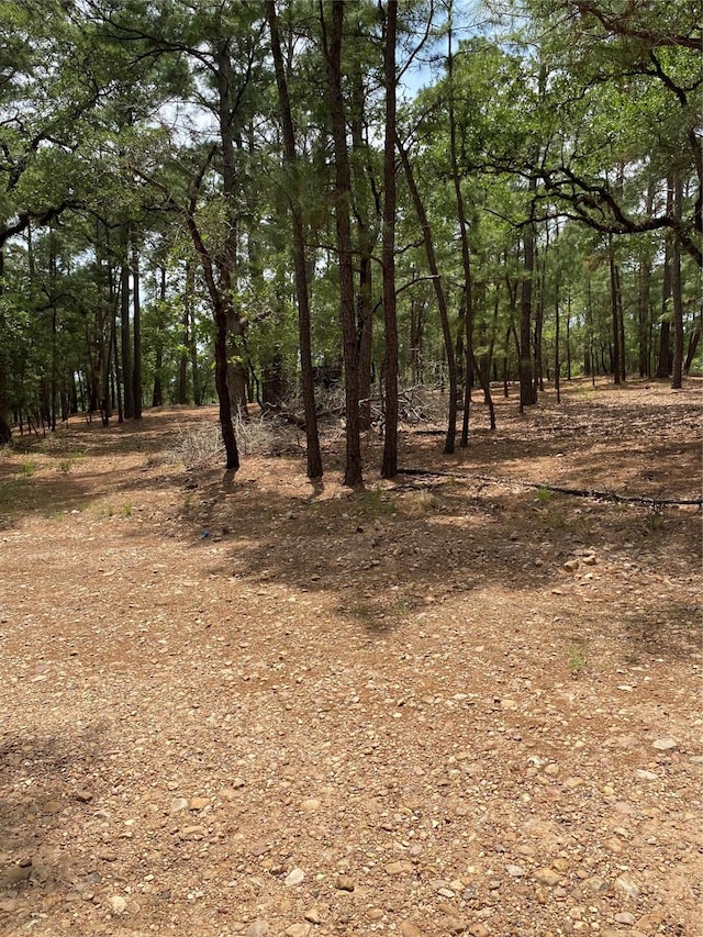 000 Clear Lake Dr, La Grange, TX 78945 - photo 9