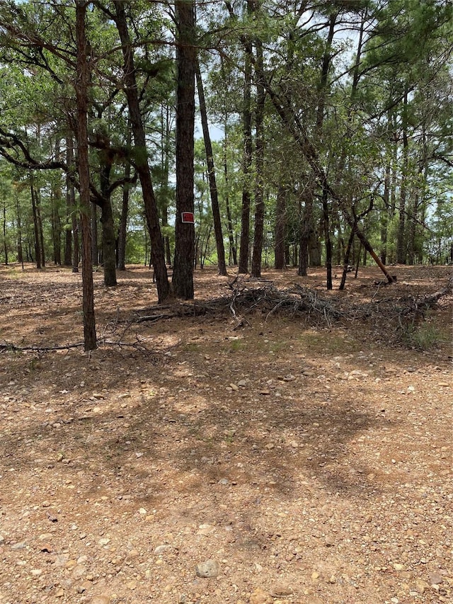 000 Clear Lake Dr, La Grange, TX 78945 - photo 10