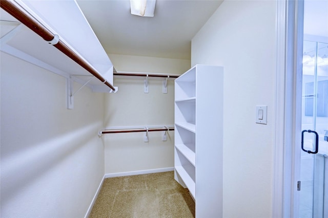 24430 Silverton Valley Ln, Katy, TX 77494 - spacious closet featuring light carpet