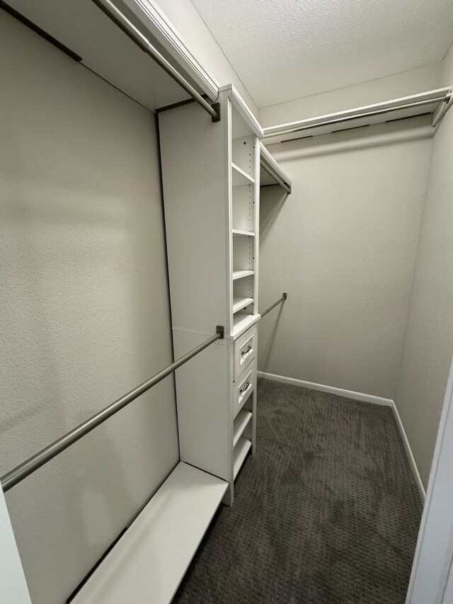 2011 Spenwick Dr Unit 513, Houston, TX 77055 - spacious closet with dark carpet