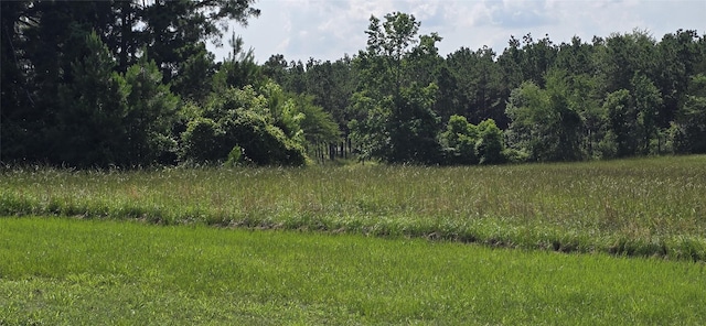 1560 Fm 355, Groveton, TX 75845 - view of woods