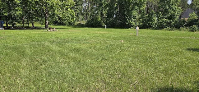 1560 Fm 355, Groveton, TX 75845 - view of green lawn