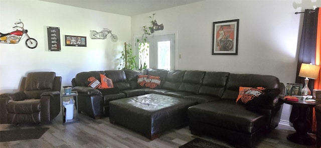 1560 Fm 355, Groveton, TX 75845 - living room featuring wood finished floors