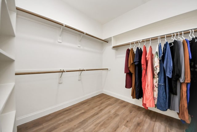 11311 Burmese Ln, Sugar Land, TX 77478 - walk in closet featuring wood finished floors