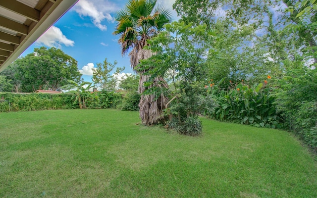16822 Bougainvilla Ln, Friendswood, TX 77546 - photo 36