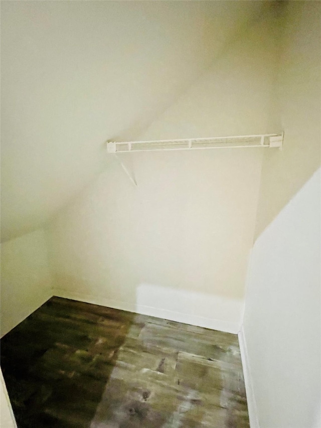 16303 Napa Vine Dr, Houston, TX 77053 - walk in closet with wood finished floors and lofted ceiling