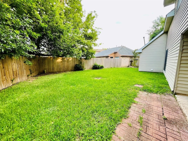 16303 Napa Vine Dr, Houston, TX 77053 - view of yard