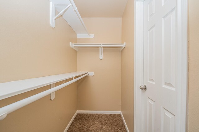 2212 Naomi St, Houston, TX 77054 - walk in closet with carpet flooring
