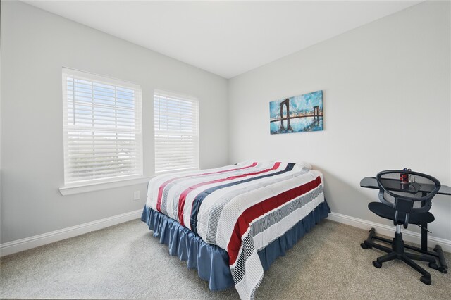 3601 Haskell Hollow Loop, College Station, TX 77845 - bedroom featuring carpet floors and baseboards