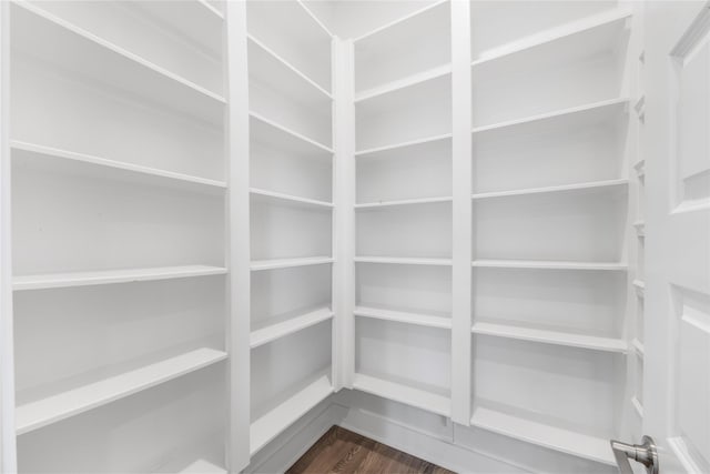 24815 Pavonia Lake Ln, Tomball, TX 77375 - view of pantry