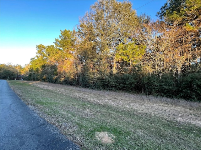 28921 Mustang Dr, Waller, TX 77484
