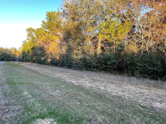 28921 Mustang Dr, Waller, TX 77484