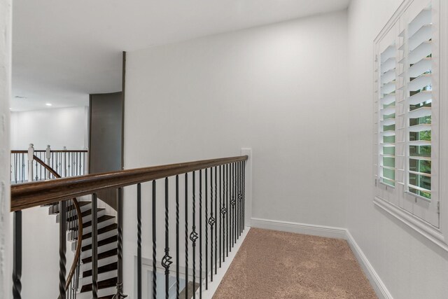 7414 Oakland Wood Ct, Humble, TX 77346 - photo 46